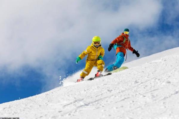 两人协作的竞技类体育项目精选